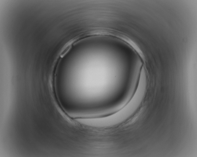 X0000113950901200910021503