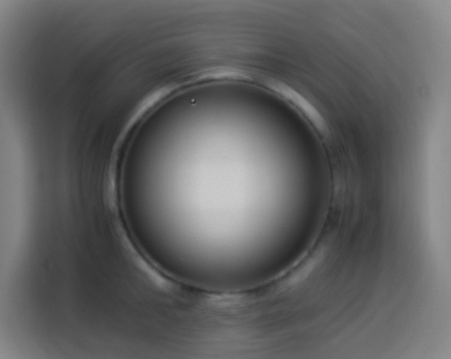 X0000113950902200910021503