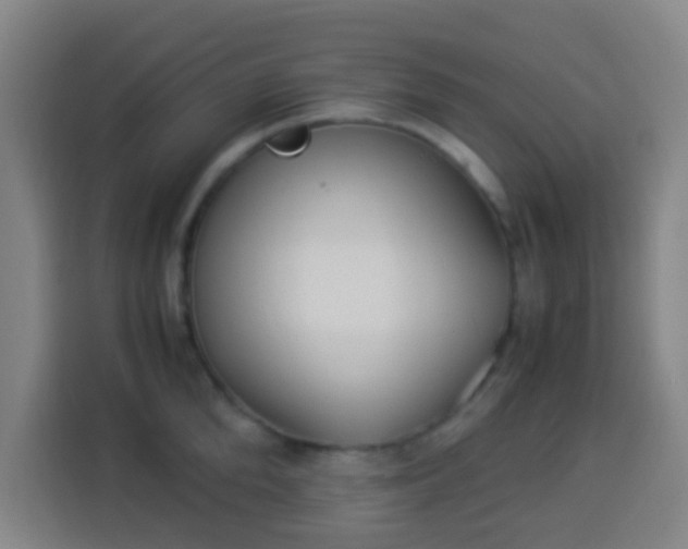 X0000113950904200910021503