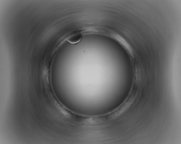 X0000113950906200910021503