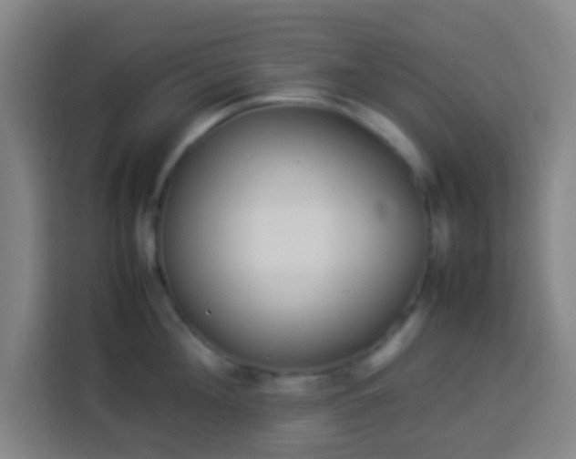 X0000113950908200910021503