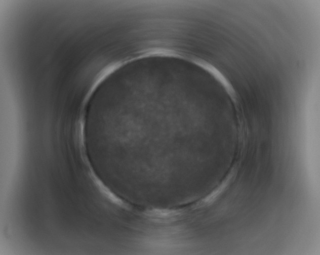 X0000113950910200910021503