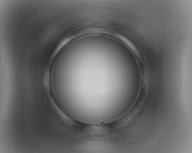 X0000113950911200910021503