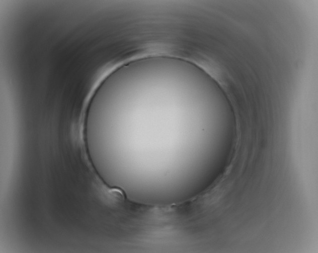 X0000113950912200910021503