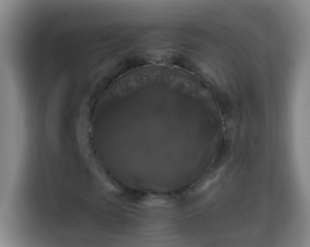 X0000113950913200910021502