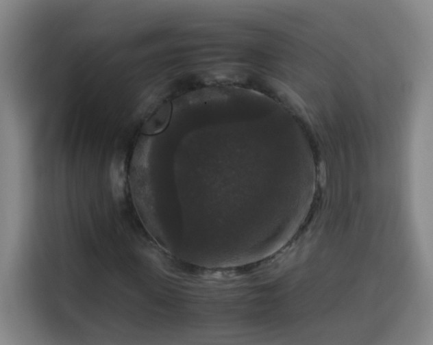 X0000113950915200910021502