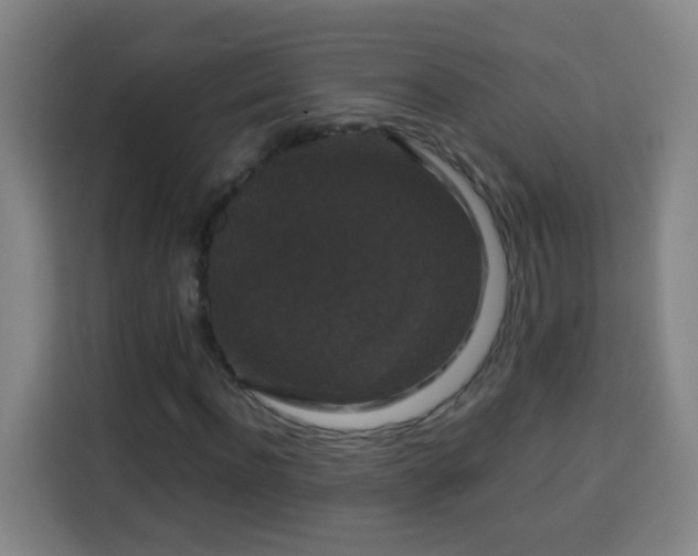 X0000113950916200910021502