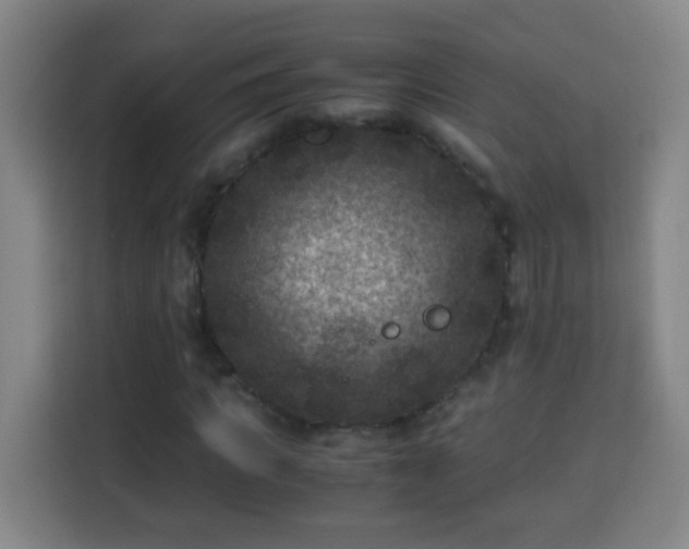 X0000113950917200910021502