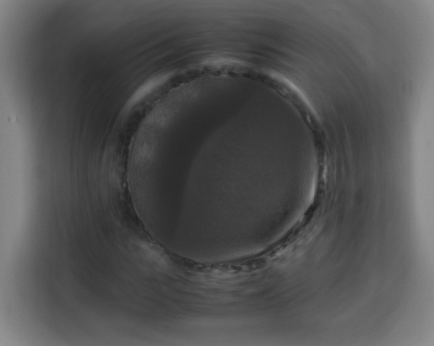 X0000113950919200910021502