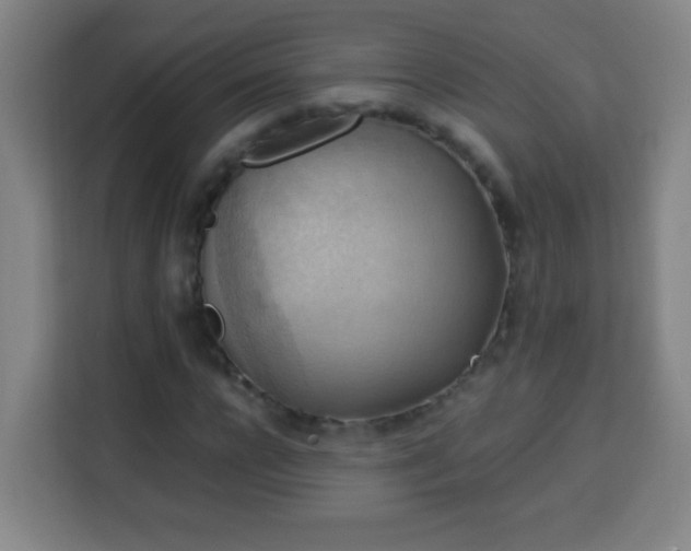 X0000113950920200910021502