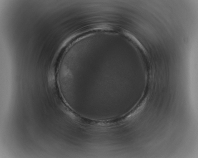 X0000113950923200910021503