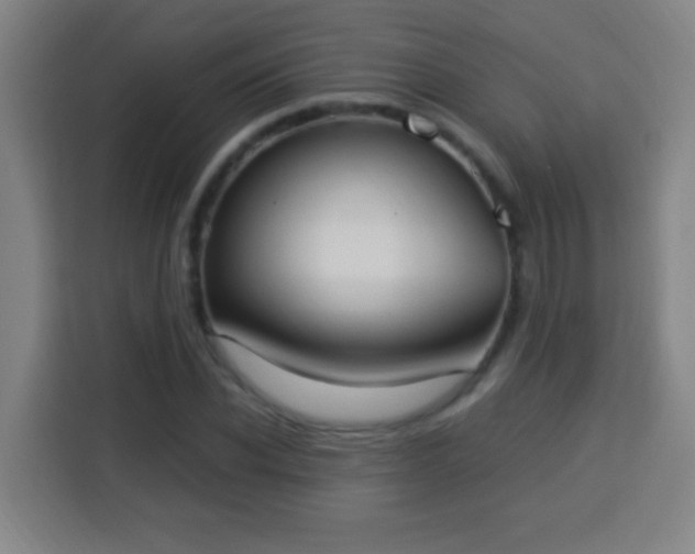 X0000113950926200910021503
