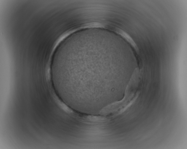 X0000113950928200910021503