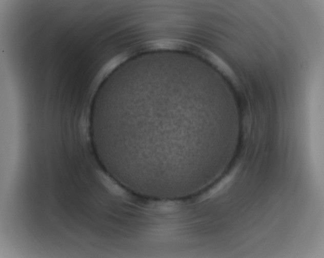X0000113950930200910021503