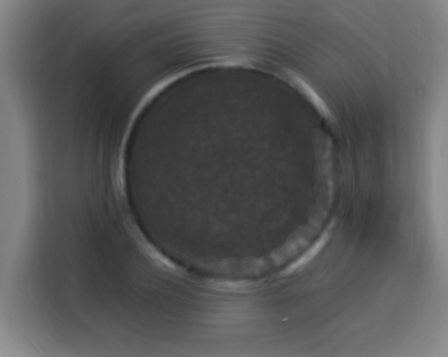X0000113950932200910021503