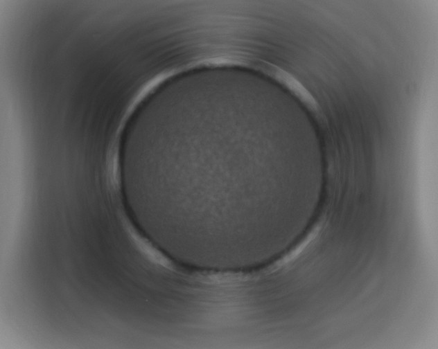 X0000113950934200910021503