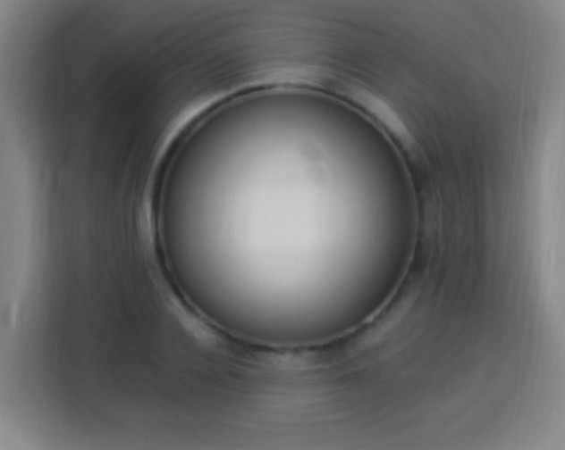 X0000113950936200910021503