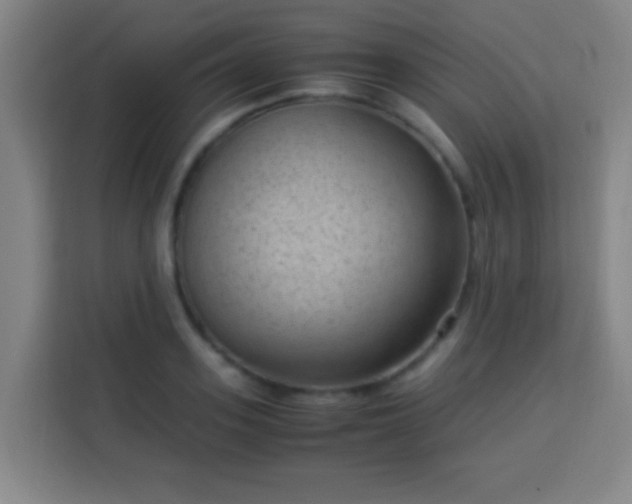 X0000113950939200910021503