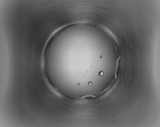 X0000113950940200910021503