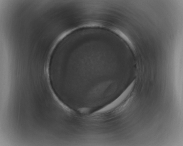 X0000113950943200910021503