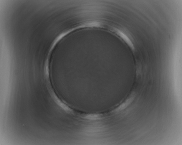 X0000113950944200910021503
