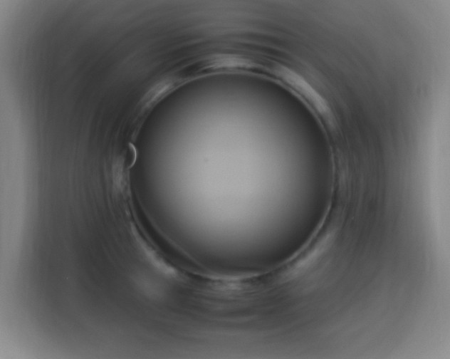X0000113950945200910021503
