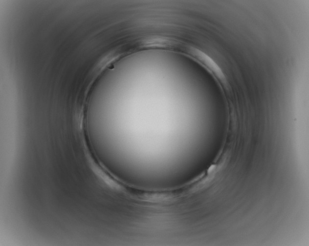 X0000113950946200910021503