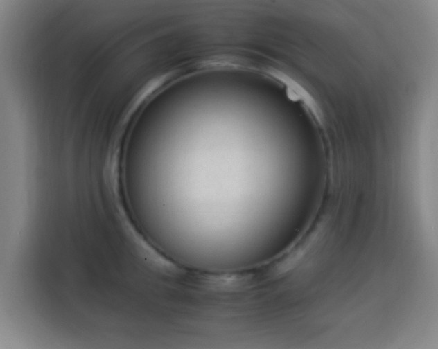 X0000113950949200910021503