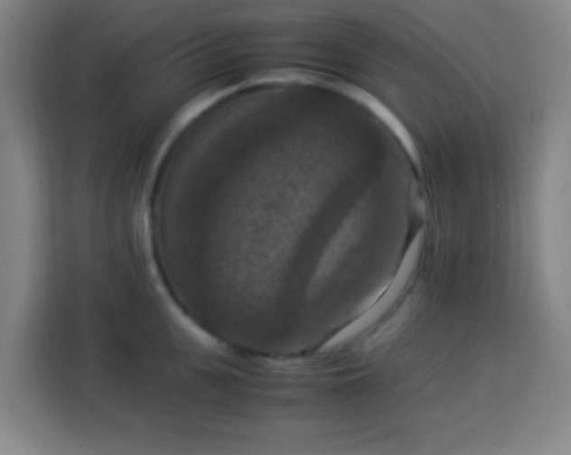 X0000113950951200910021503