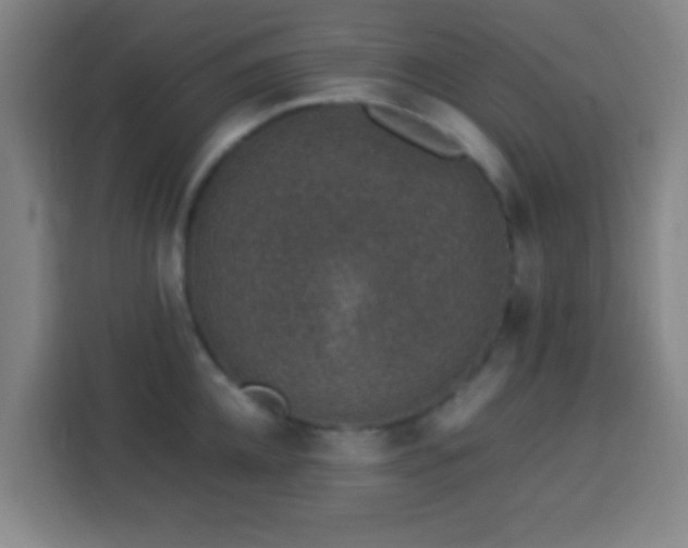 X0000113950952200910021503