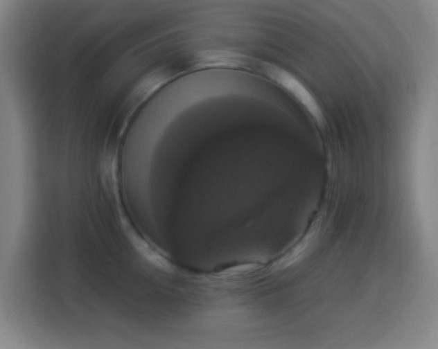 X0000113950954200910021503