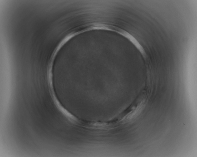X0000113950955200910021503