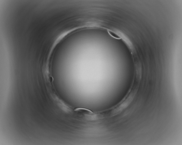 X0000113950956200910021503