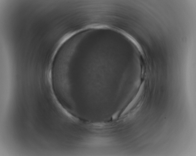 X0000113950959200910021503