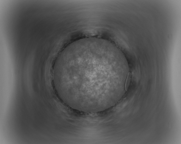 X0000113950961200910021502