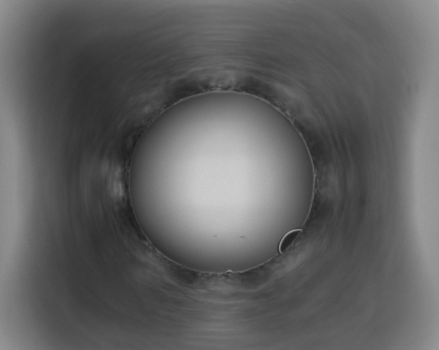 X0000113950962200910021502