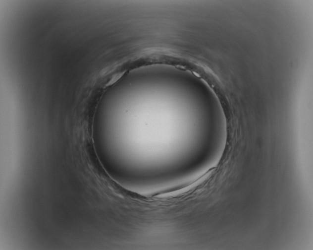 X0000113950965200910021502