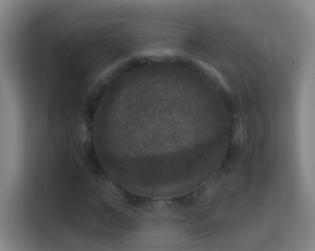 X0000113950966200910021502