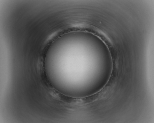 X0000113950968200910021502