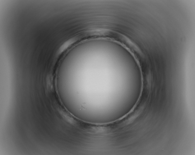 X0000113950970200910021502
