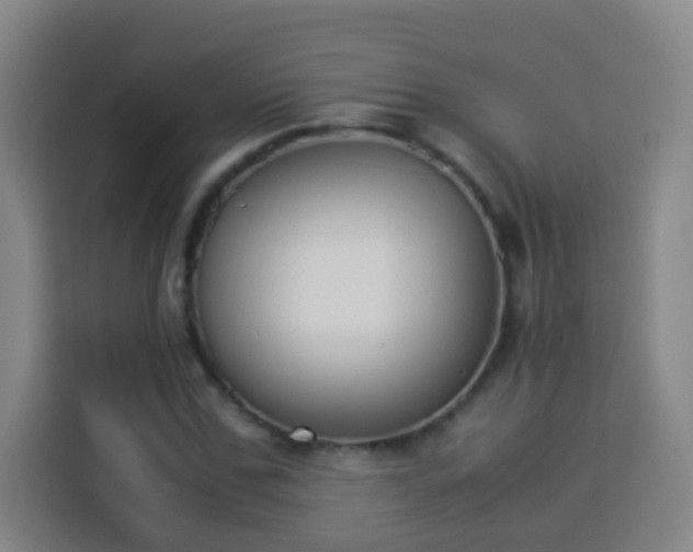 X0000113950971200910021502
