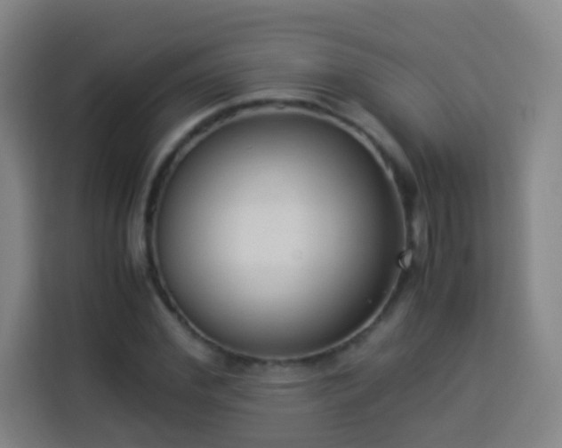 X0000113950972200910021502