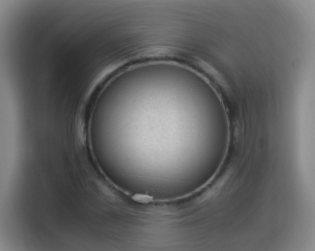 X0000113950973200910021502