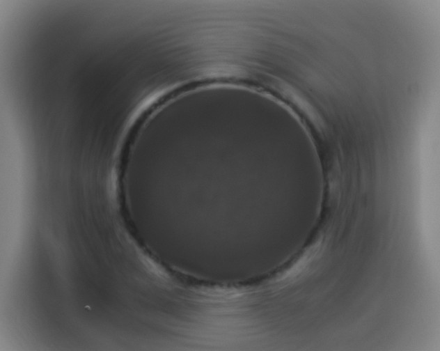 X0000113950975200910021502
