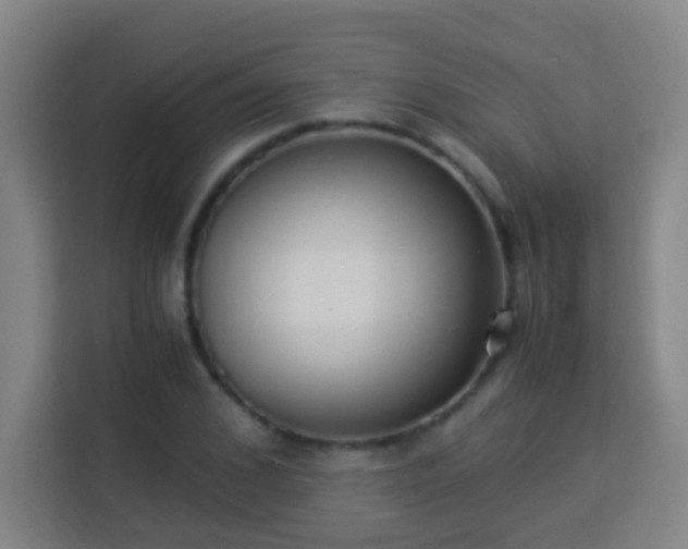 X0000113950976200910021502