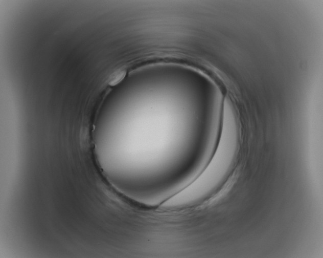 X0000113950977200910021502