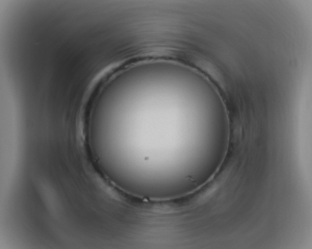 X0000113950979200910021502