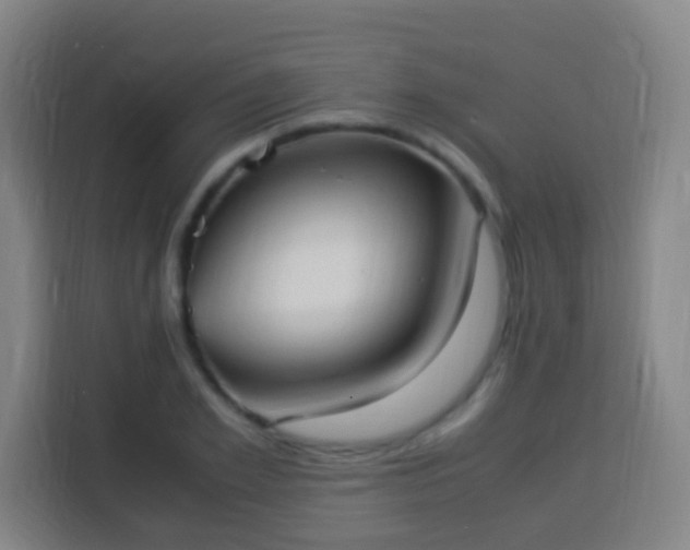X0000113950981200910021502