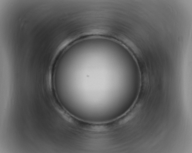 X0000113950982200910021502