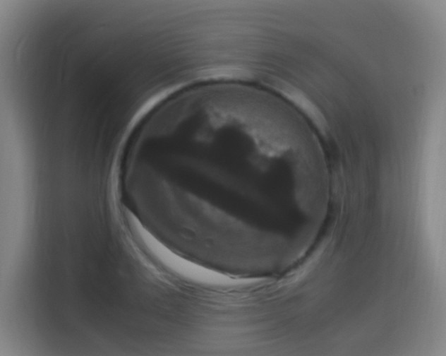 X0000113950983200910021502
